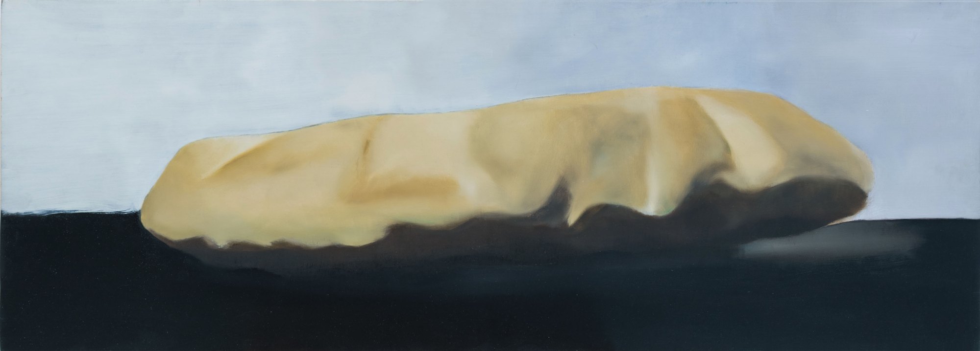 Pittas — view 11