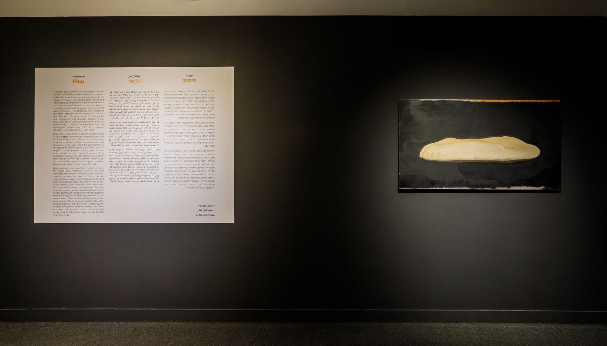 Pittas — view 5