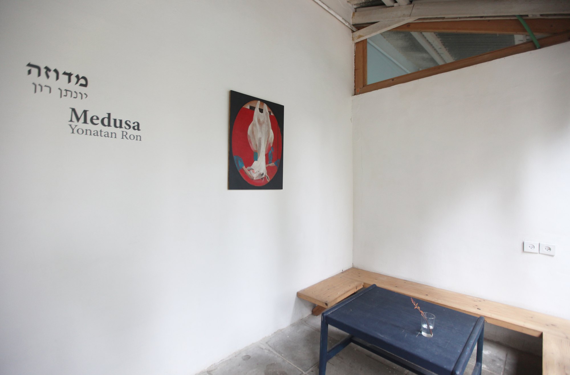 Medusa — view 5